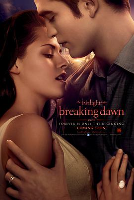 海岸线以北电影封面